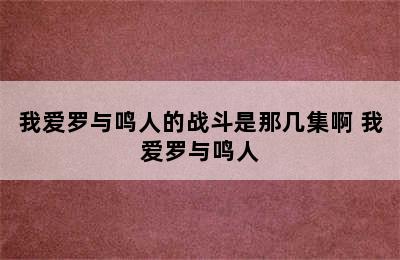 我爱罗与鸣人的战斗是那几集啊 我爱罗与鸣人